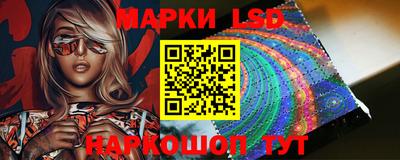 стафф Нальчик