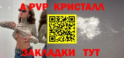 стафф Нальчик