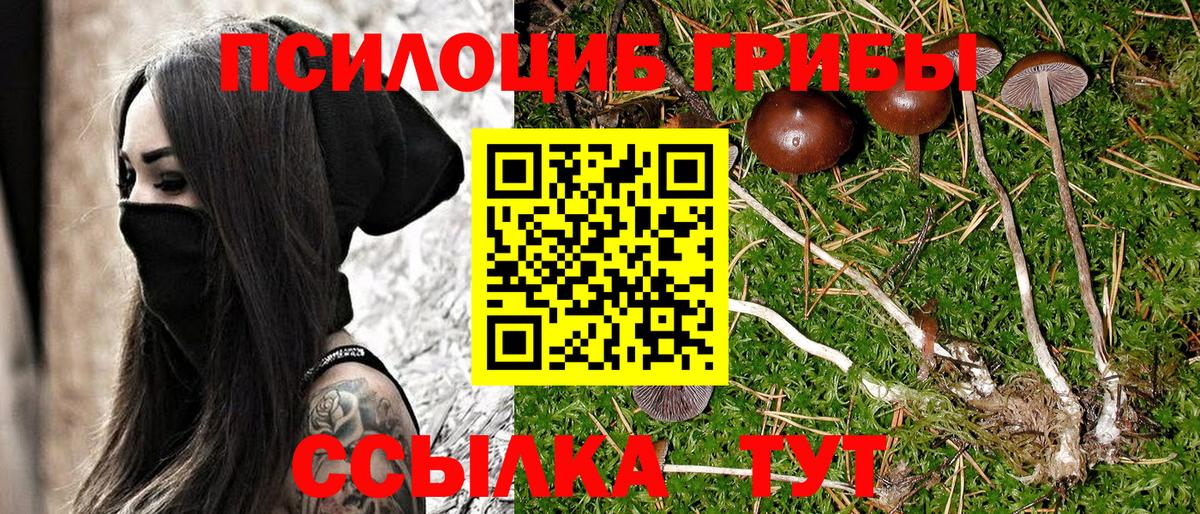 Галлюциногенные грибы ЛСД Шали