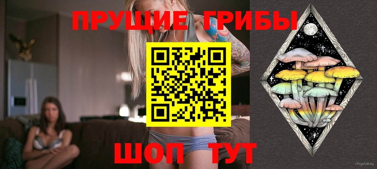 Псилоцибиновые грибы MAGIC MUSHROOMS  Галлюциногенные грибы прущие грибы  Шали  даркнет сайт  Вход с VPN 